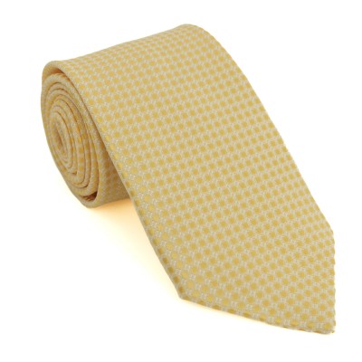Cravatta gialla fantasia