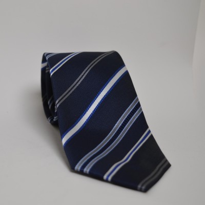 Cravatta blu fantasia...