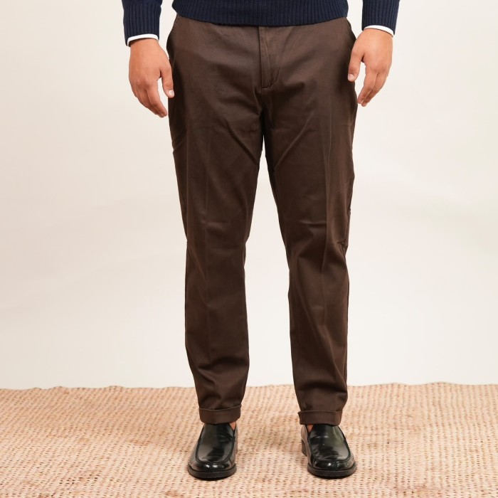 Pantalone in cotone chino - Marrone